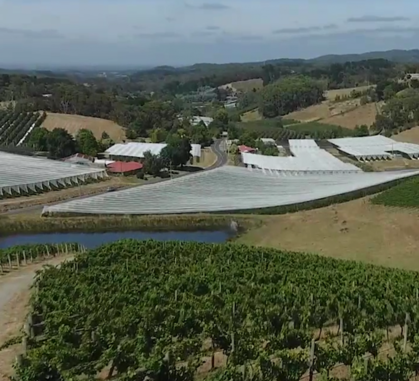 Secure Pollination through Revegetation