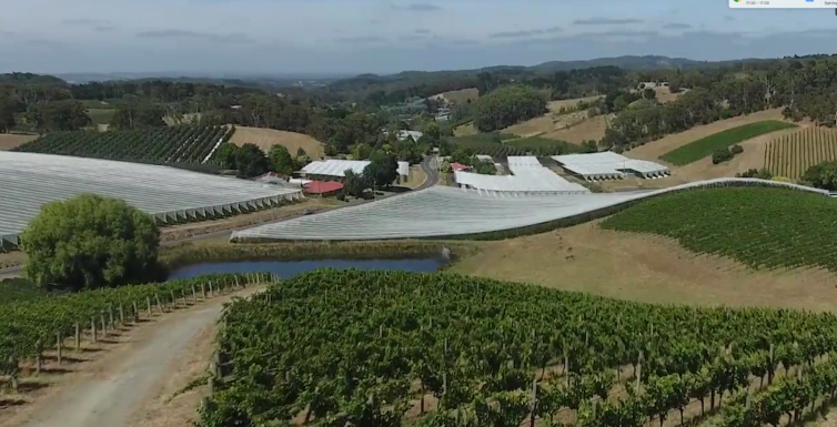 Secure Pollination through Revegetation
